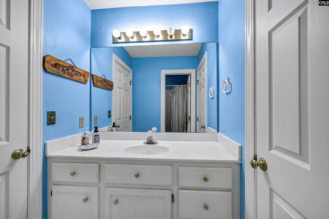 135 Willowood Cove, Chapin, SC 29036
