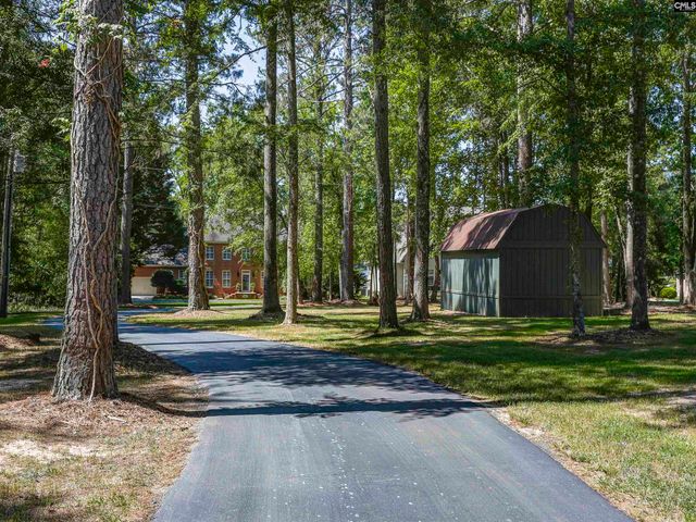 135 Willowood Cove, Chapin, SC 29036