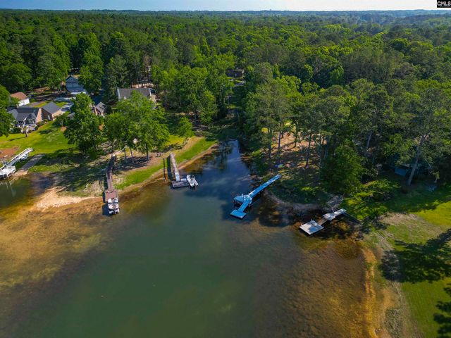 135 Willowood Cove, Chapin, SC 29036