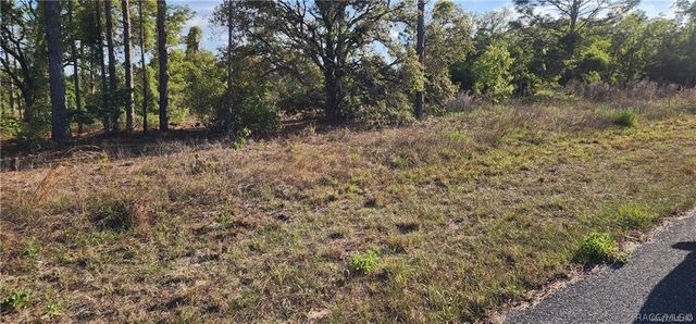 3420 W Hayward Lane, Citrus Springs, FL 34433
