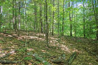 4 John Terrace, Ossipee, NH 03864