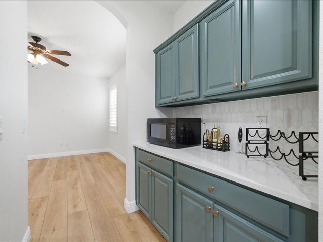 17735 BRIGHT WHEAT DRIVE, Lithia, FL 33547
