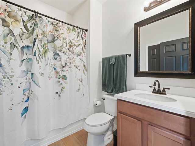 17735 BRIGHT WHEAT DRIVE, Lithia, FL 33547