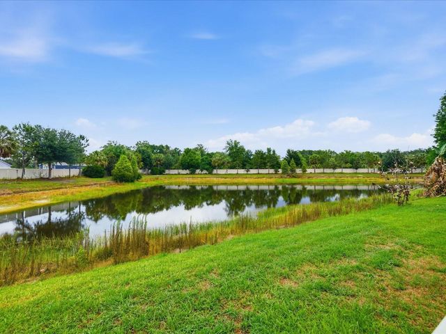 17735 BRIGHT WHEAT DRIVE, Lithia, FL 33547