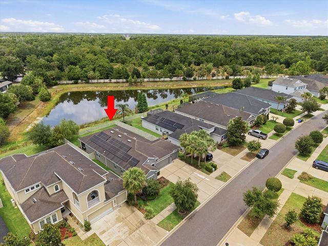 17735 BRIGHT WHEAT DRIVE, Lithia, FL 33547