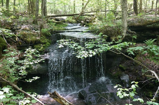 127 Fern Lane, Jefferson, NY 12093