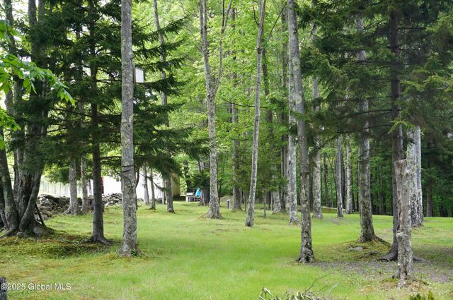 127 Fern Lane, Jefferson, NY 12093