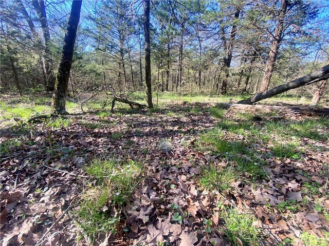 23117 Tunnel Road, Summers, AR 72769