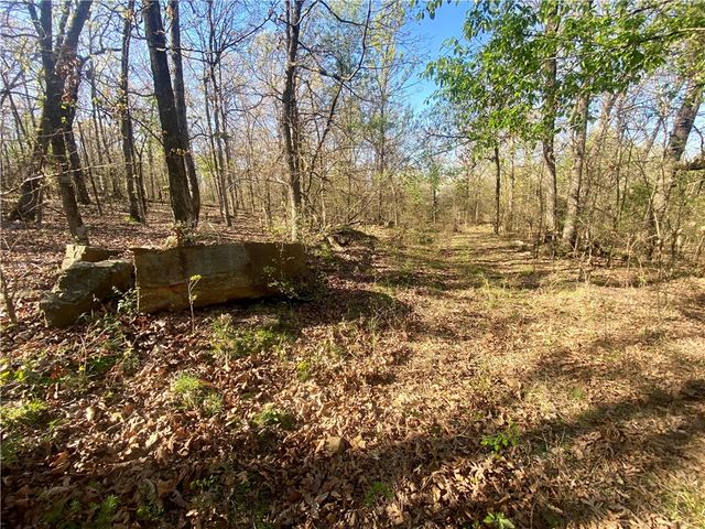 23117 Tunnel Road, Summers, AR 72769