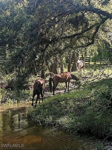 23261 Tuckahoe RD, Alva, FL 33920