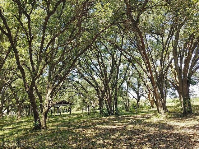 23261 Tuckahoe RD, Alva, FL 33920