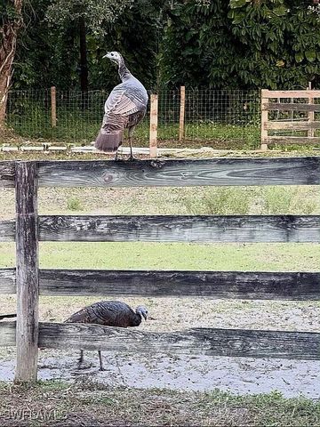 23261 Tuckahoe RD, Alva, FL 33920