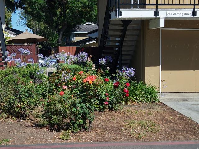 771 Warring Drive 2, San Jose, CA 95123