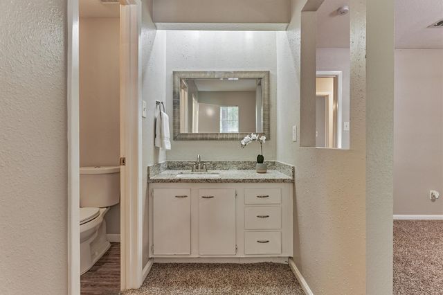 26 W Broken Oak Court, The Woodlands, TX 77381