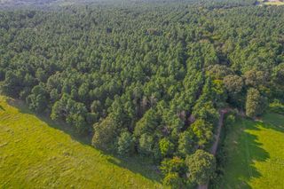 0 CR 4224, Frankston, TX 75763