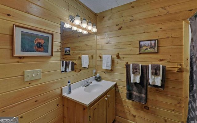 380 Bear Foot Drive, Blue Ridge, GA 30513