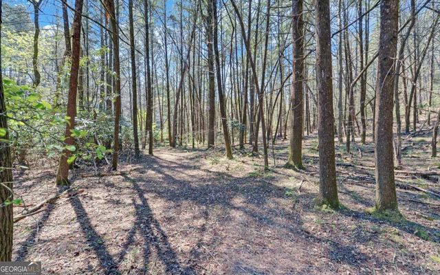 380 Bear Foot Drive, Blue Ridge, GA 30513