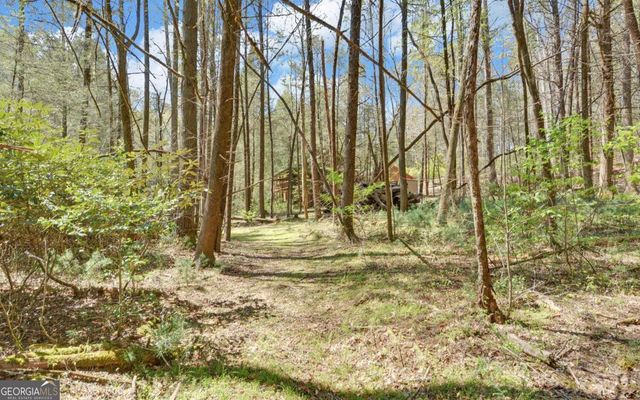 380 Bear Foot Drive, Blue Ridge, GA 30513
