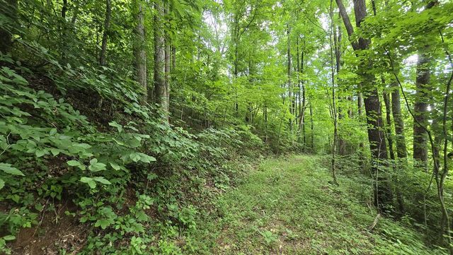 Lot 30 High Meadows, Hayesville, NC 28904