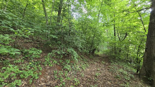 Lot 30 High Meadows, Hayesville, NC 28904