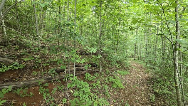 Lot 30 High Meadows, Hayesville, NC 28904