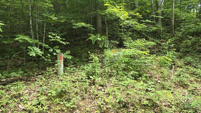 Lot 30 High Meadows, Hayesville, NC 28904