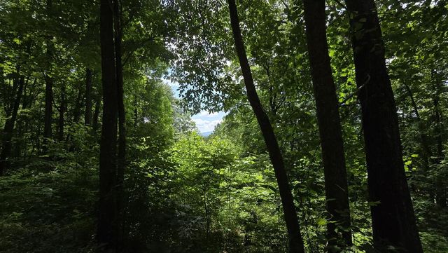 Lot 30 High Meadows, Hayesville, NC 28904
