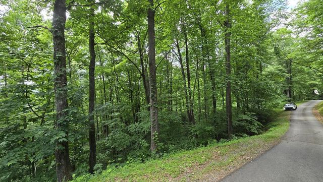 Lot 30 High Meadows, Hayesville, NC 28904