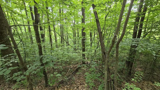 Lot 30 High Meadows, Hayesville, NC 28904
