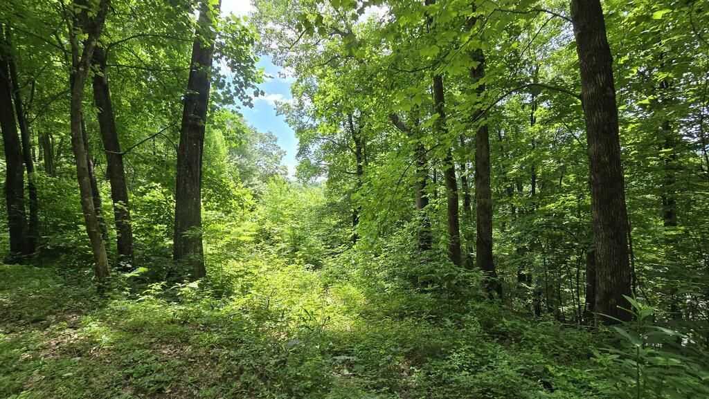 Lot 30 High Meadows, Hayesville, NC 28904