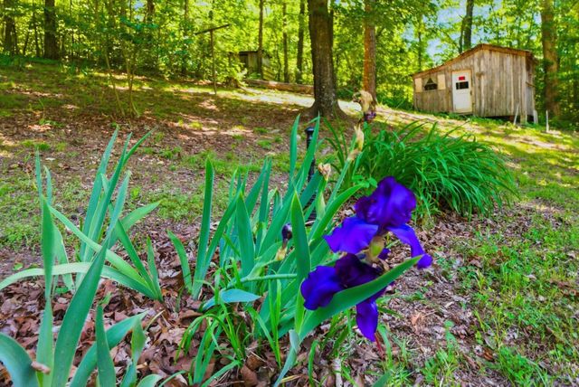452 County Road 213, Athens, TN 37303