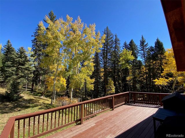 11182 S Barney Gulch Rd, Conifer, CO 80433