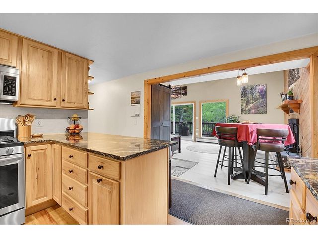 11182 S Barney Gulch Rd, Conifer, CO 80433