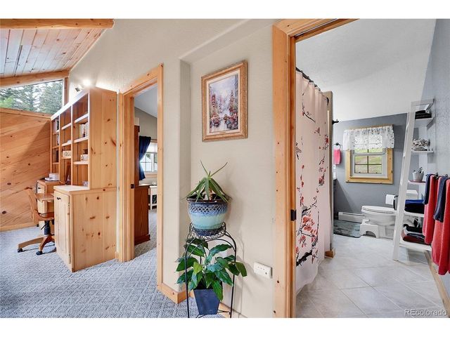 11182 S Barney Gulch Rd, Conifer, CO 80433