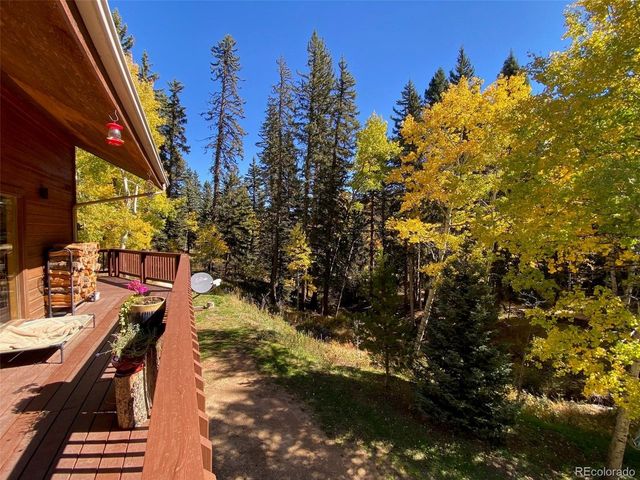 11182 S Barney Gulch Rd, Conifer, CO 80433