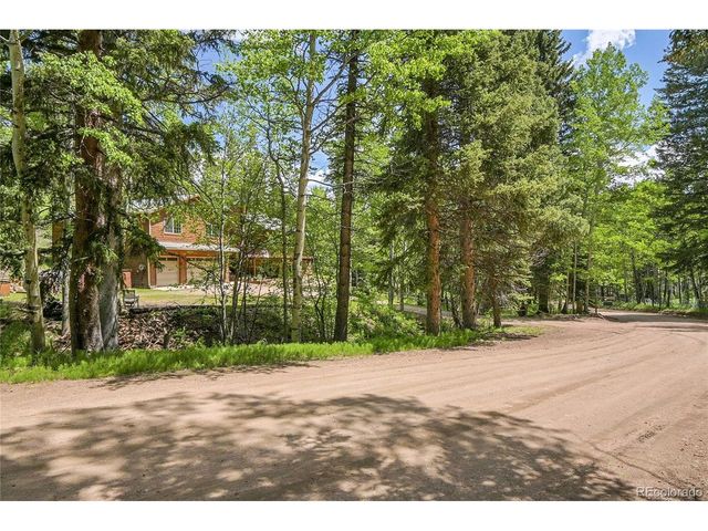 11182 S Barney Gulch Rd, Conifer, CO 80433