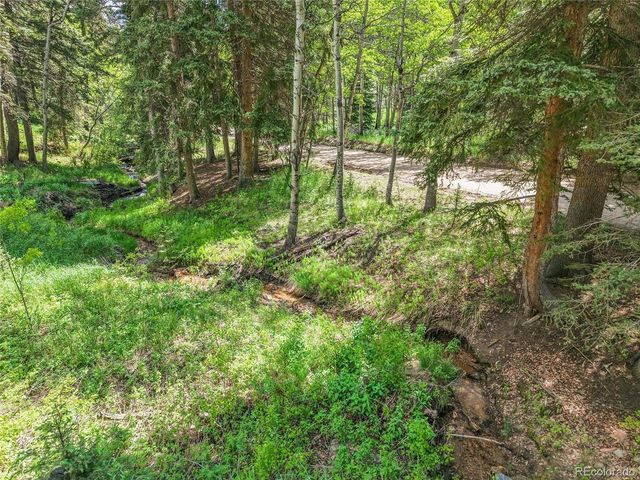 11182 S Barney Gulch Rd, Conifer, CO 80433