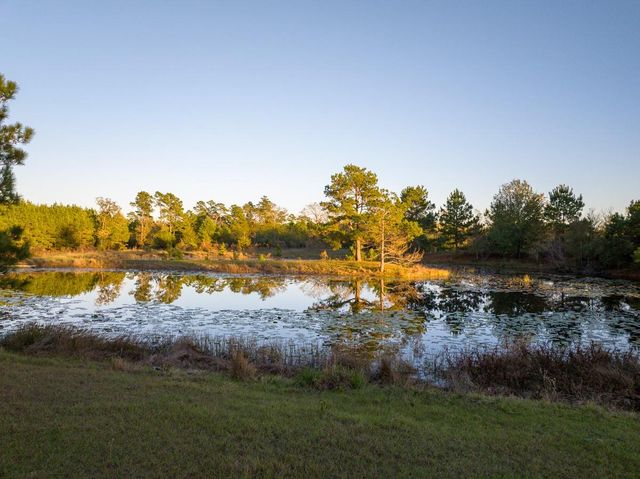 82B Ron Walker Lane, Bedias, TX 77831