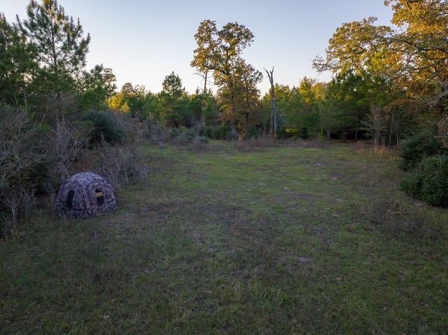 82B Ron Walker Lane, Bedias, TX 77831