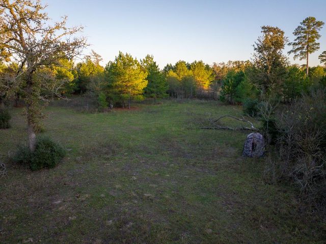 82B Ron Walker Lane, Bedias, TX 77831
