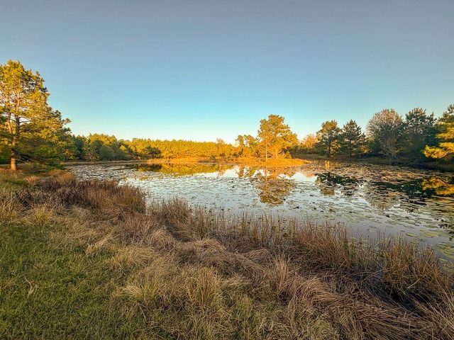 82B Ron Walker Lane, Bedias, TX 77831