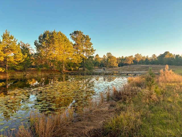 82B Ron Walker Lane, Bedias, TX 77831