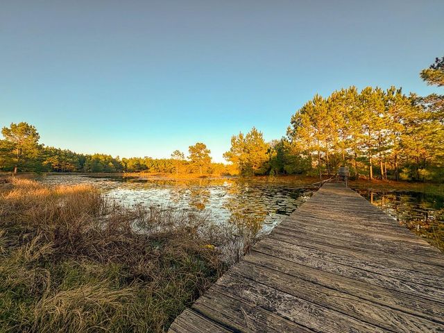 82B Ron Walker Lane, Bedias, TX 77831