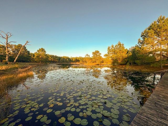 82B Ron Walker Lane, Bedias, TX 77831