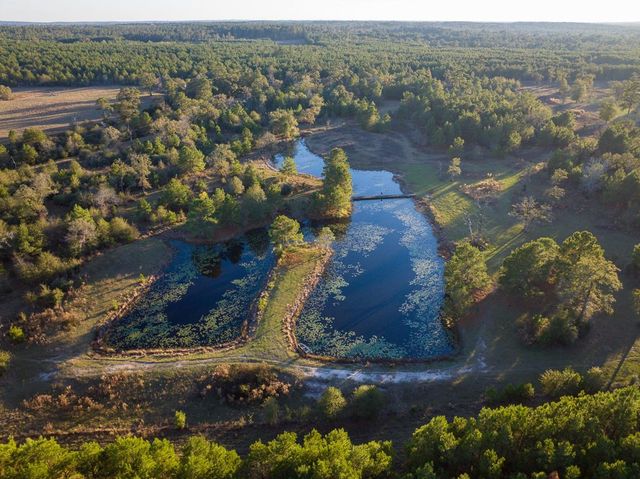 82B Ron Walker Lane, Bedias, TX 77831