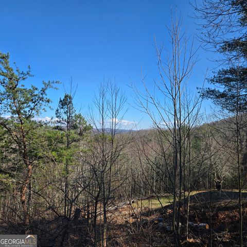 705 Hickory Drive, Mineral Bluff, GA 30559