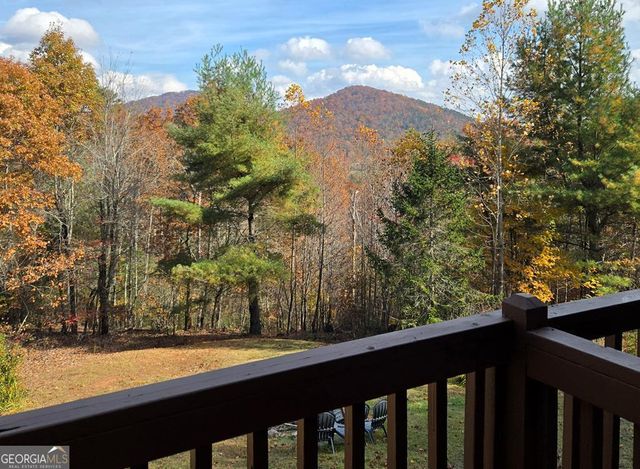 705 Hickory Drive, Mineral Bluff, GA 30559