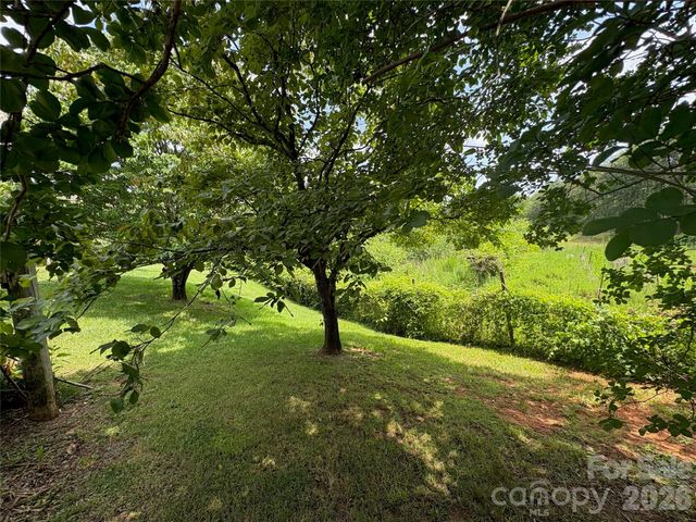 1812 Freemantown Road, Lake Lure, NC 28746