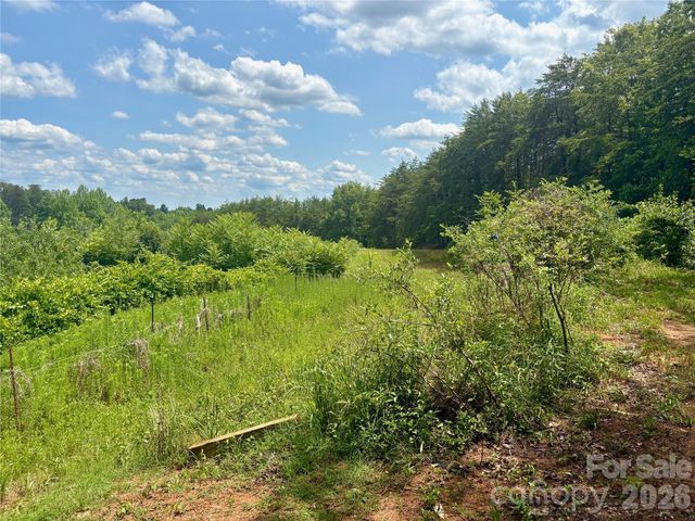 1812 Freemantown Road, Lake Lure, NC 28746
