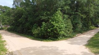 TBD Blue Quail Drive, Coldspring, TX 77331